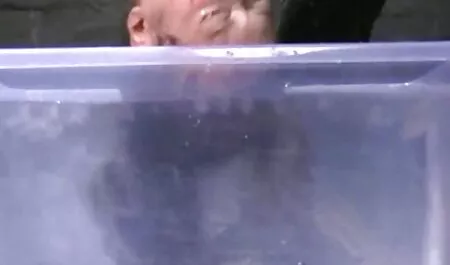 לוסי ויילד. סרטי סקס חינם לצפיה