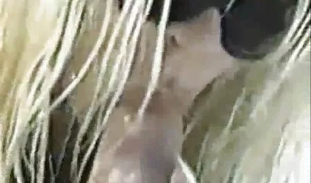 המורה מצצה פורנו נשים מבוגרות מוצצות לצפיה חינם לתינוק יפה על הספה.