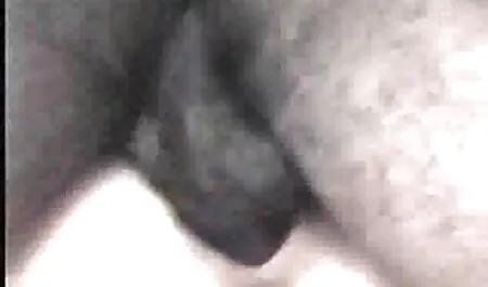 קיץ לוהט של צפייה בסקס חינם שושנה.