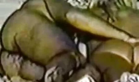 בחורה סרטים כחולים לצפיה בחינם שזופה מוצצת באופן מקצועי.